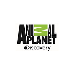 Radio Animal Planet Discovery TV