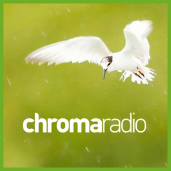 Radio Chroma Nature