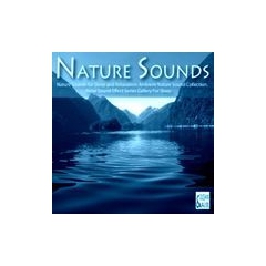 Radio Digital Impulse - Ambient Nature Sounds