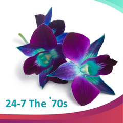 Radio 24-7 Best Of The 70's